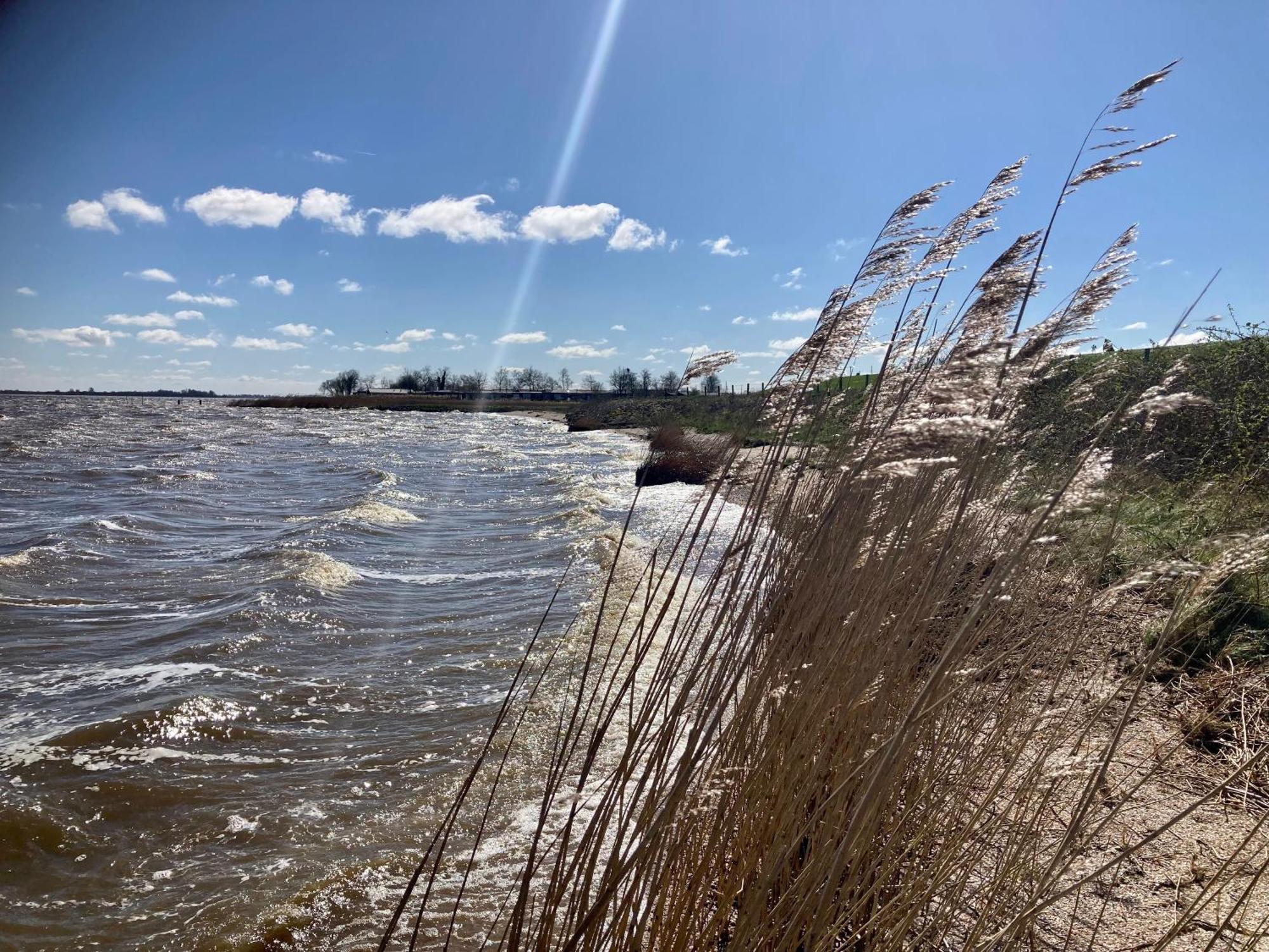 Haus Gaby Direkt Am Lauwersmeer Anjum 외부 사진